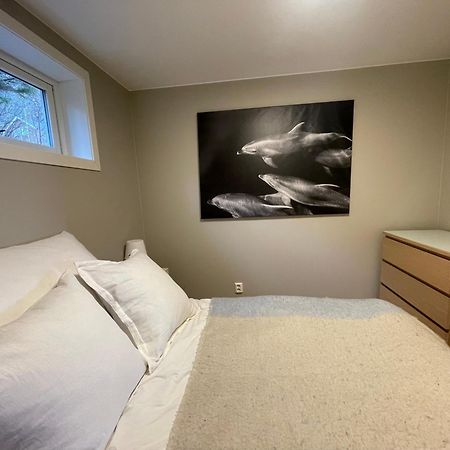 A, The Far End Of Lofoten, Top Apartment. Sørvågen المظهر الخارجي الصورة