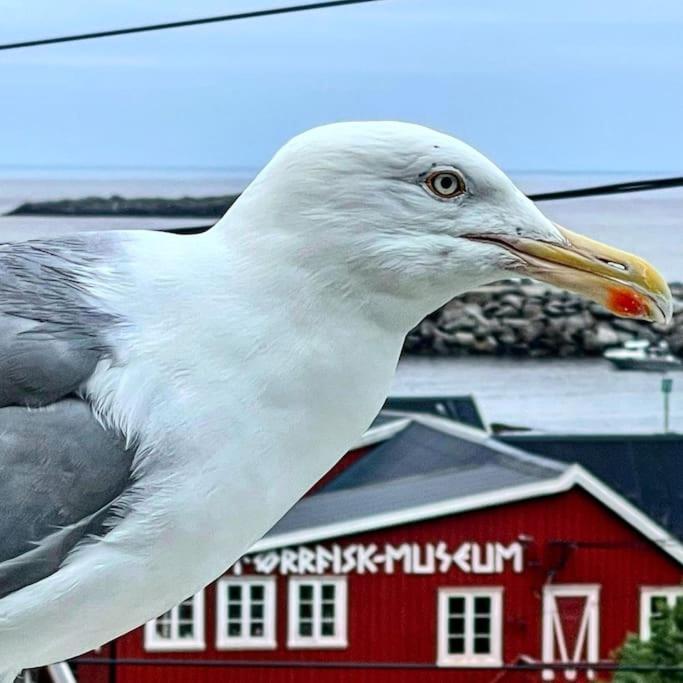 A, The Far End Of Lofoten, Top Apartment. Sørvågen المظهر الخارجي الصورة